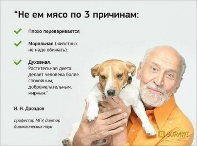 drozdov vegetarianec1