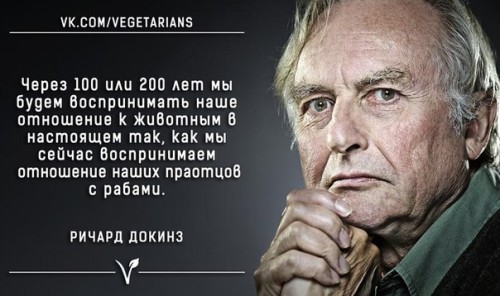 O vsejadnosti cheloveka, racional'nosti veganstva i neodnoznachnosti syroedenija17
