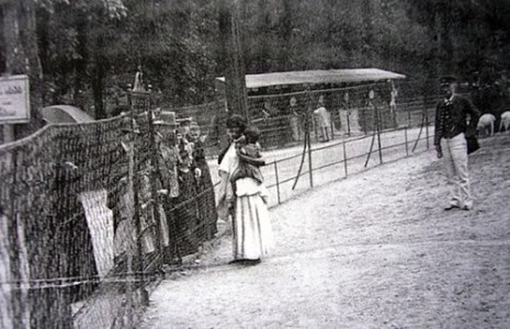 zooparki perezhitki proshlogo240