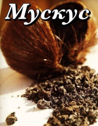 Мускус в парфюмерии